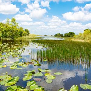 Veranstaltung: Everglades: 40-Minute Airboat Ride & Animal Sanctuary Admission, Sawgrass Recreation Park in Weston