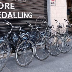 Veranstaltung: Tour dei segreti della città in bicicletta, Tour in bicicletta Velocipedi in Casalecchio di Reno