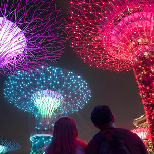 Veranstaltung: Big Bus Singapore Night Tour with Gardens by the Bay Light Show, Singapore DUCKtours in Singapore