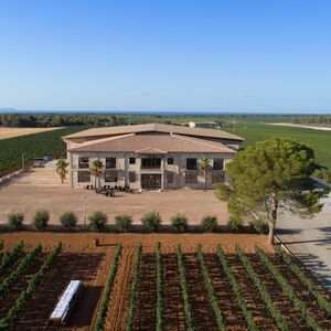 Veranstaltung: Bodega Vi Rei: Visita guiada y cata de vinos, Bodegas Vi Rei Winery Mallorca in Palma de Mallorca