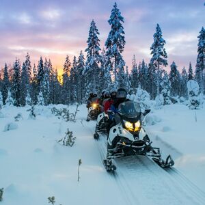 Veranstaltung: Snowmobile & Animals Day Tour, Lapland Winter Activities in Rovaniemi