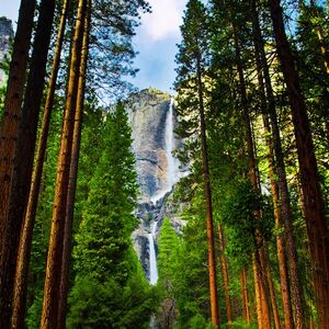 Veranstaltung: Yosemite: 1-Day Experience Including Entrance and Guided Tour, Hotel Riu Plaza Fisherman´s Wharf in San Francisco