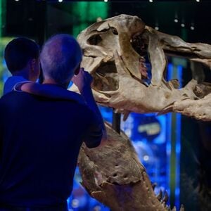 Veranstaltung: Melbourne Museum: Skip The Line Ticket for Victoria the T. Rex, Melbourne Museum in Melbourne