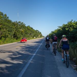 Veranstaltung: Ruta de Tulum y 2 Cenotes: Excursión en Bicicleta + Comida, Day Trips from Riviera Maya in Playa del Carmen