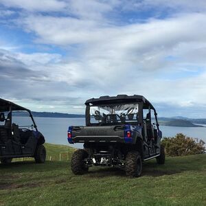 Veranstaltung: Off-Road 4WD Buggy Adventure from Rotorua, 451 Ngongotaha Road in Rotorua