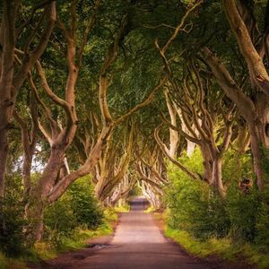 Veranstaltung: Giant's Causeway: Full Day Tour with Titanic Museum + Dark Hedges, Cliffs of Moher Tours from Dublin in Dublin