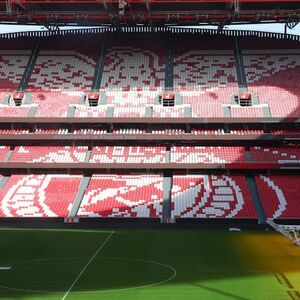 Veranstaltung: Estádio da Luz e Museu do Benfica: Bilhete de entrada + degustação de vinhos + oferta de cachecol, Estádio da Luz in Lisboa