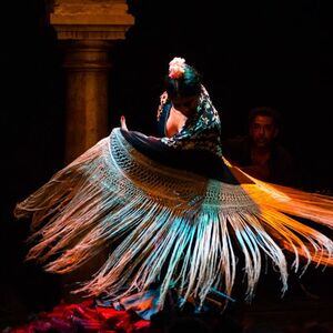 Veranstaltung: Museo del Baile Flamenco: Solo el espectáculo, Museo del Baile Flamenco in Seville