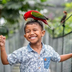 Veranstaltung: Bali Bird Park: Entry Ticket, Bali Bird Park in Bali