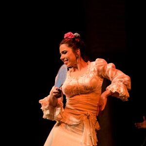 Veranstaltung: Museo del Baile Flamenco: Solo el espectáculo, Museo del Baile Flamenco in Seville