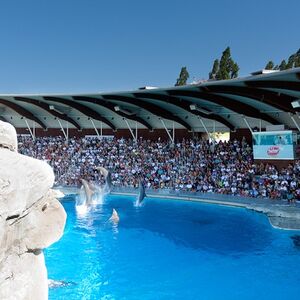 Veranstaltung: Parco Tematico Oltremare: Biglietto d'ingresso + Pranzo, Oltremare in Riccione