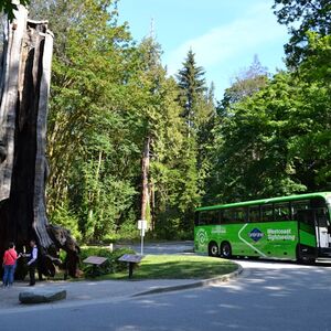 Veranstaltung: Vancouver: Capilano Suspension Bridge Park & City Tour, Capilano Suspension Bridge Park in North Vancouver