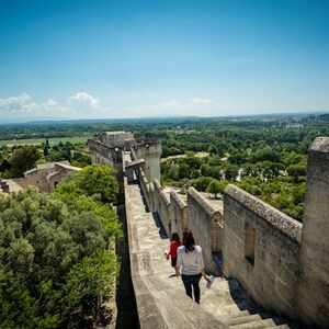 Veranstaltung: Fort Saint-André: Billet d'entrée, Fort Saint-André in Villeneuve-lès-Avignon