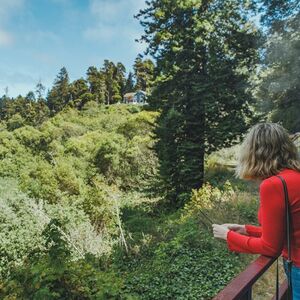 Veranstaltung: Skunk Train: Pudding Creek Express, Skunk Train: Fort Bragg in Fort Bragg